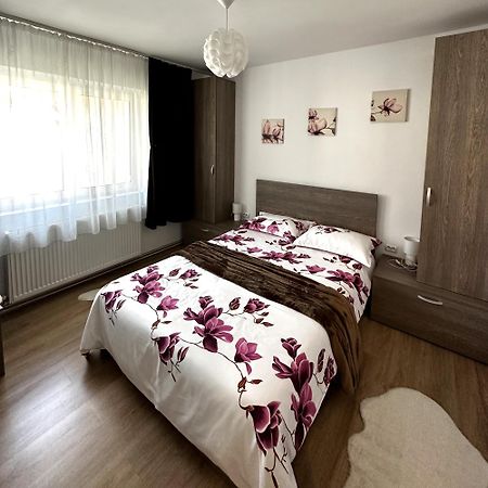 Iali Apartment Sinaia Kültér fotó