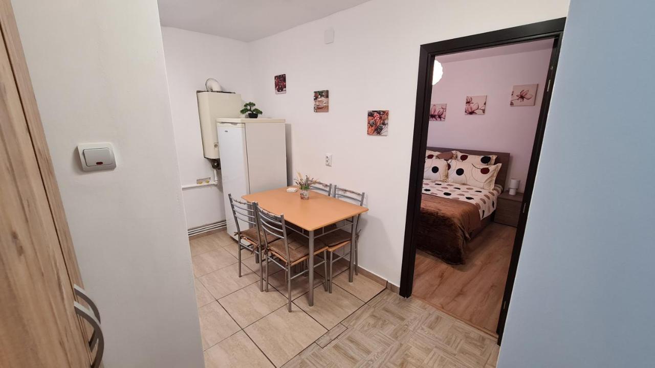 Iali Apartment Sinaia Kültér fotó
