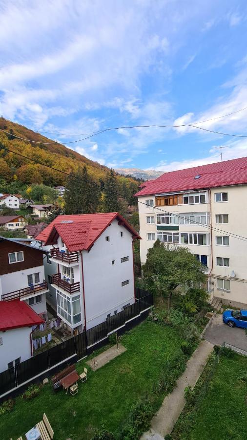 Iali Apartment Sinaia Kültér fotó