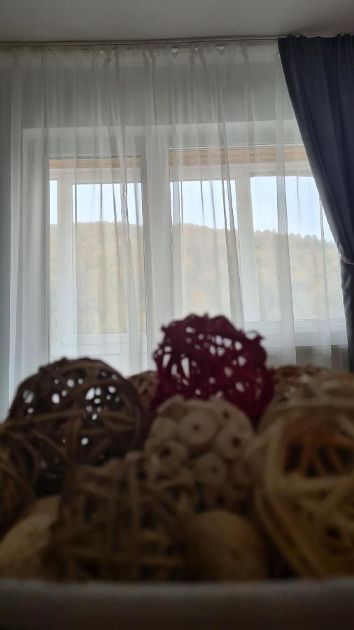 Iali Apartment Sinaia Kültér fotó