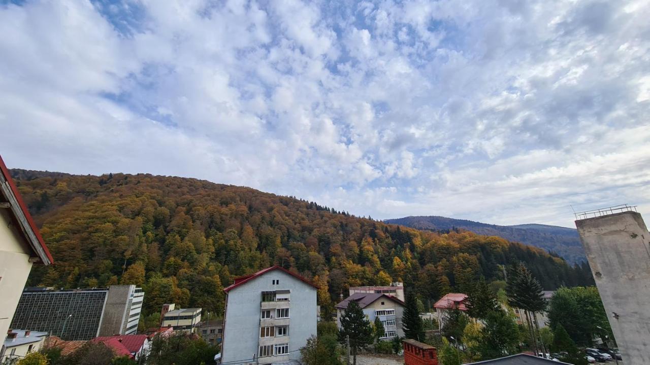 Iali Apartment Sinaia Kültér fotó