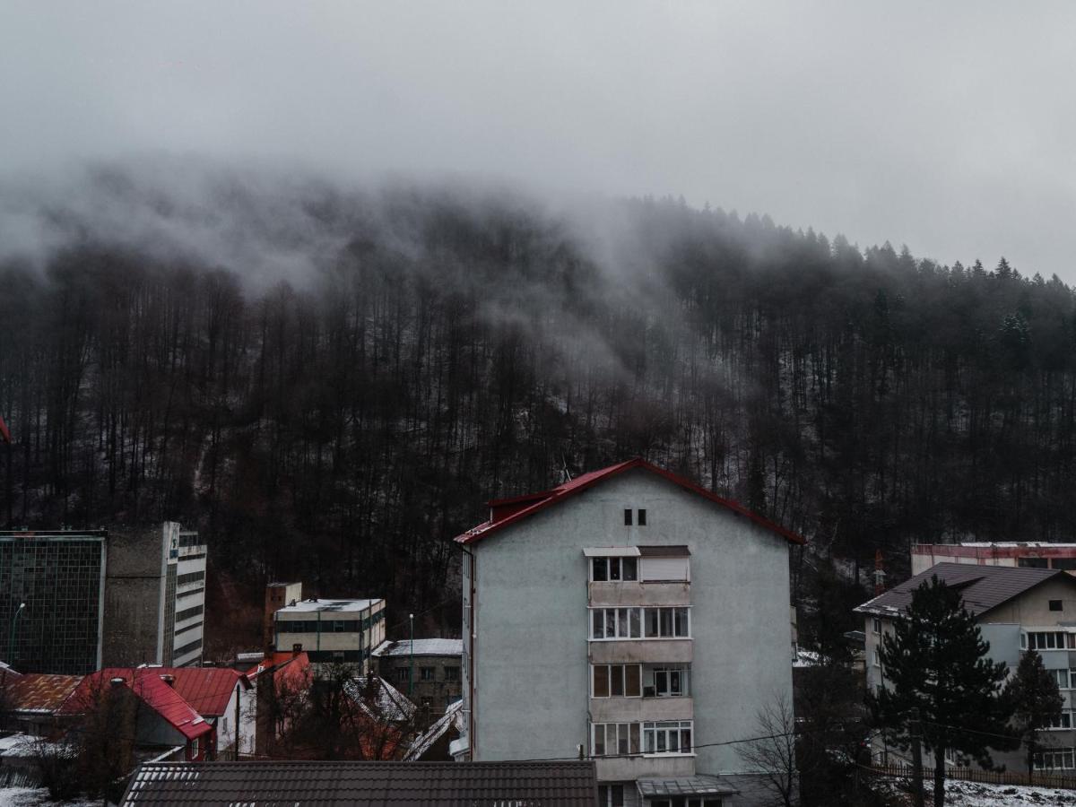 Iali Apartment Sinaia Kültér fotó